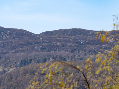 The View at No 10 Aviemore