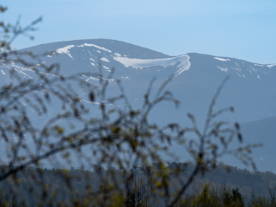 The View at No 10 Aviemore